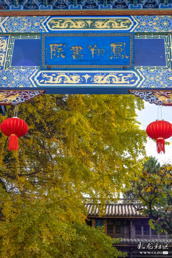 寻美云南（四）大理凤羽，诗意旅居