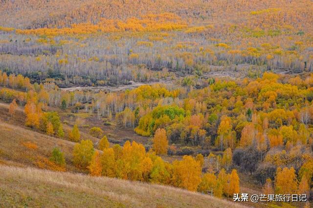 内蒙古与俄罗斯交界有个小镇，异域风情浓郁，就像到了俄罗斯一样