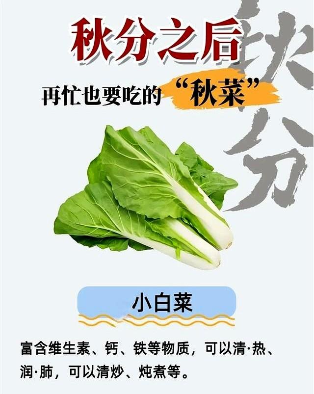 “上午秋分，大雪封门”！明日9月23日秋分，今年冬天要冷到哭？