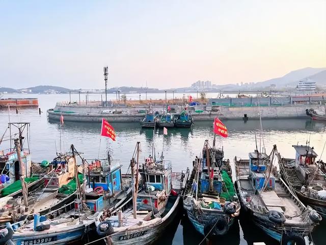 戈壁娃闯青岛！海的乡愁，酒的酣畅