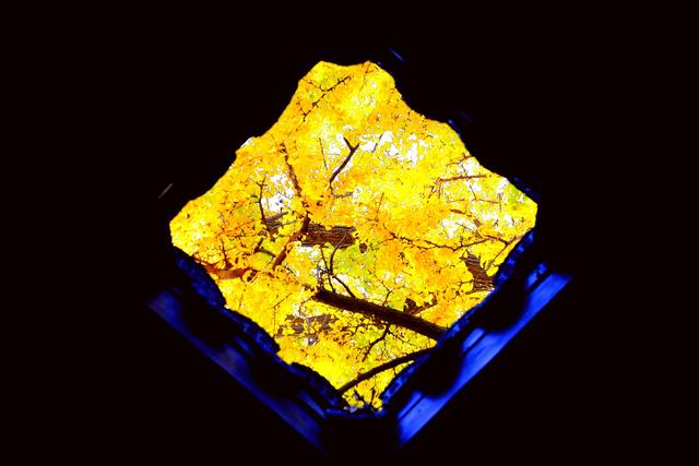 红枫银杏里,读懂惠山古镇的秋冬