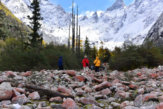 深秋走进理小路