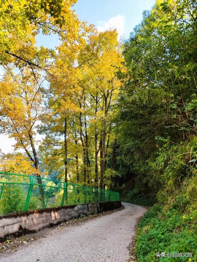 来一场短暂的城市逃离!盘龙这些登高好去处你知道吗?