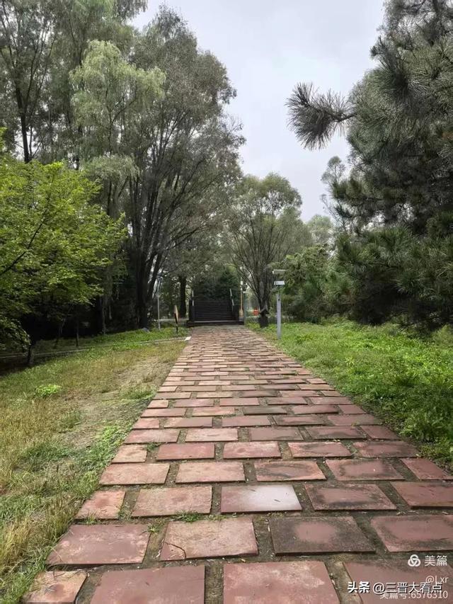 秋雨绵绵漳泽湖