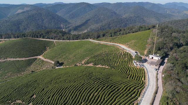 从“网红”到“长红” ，湖州文旅何以可能？