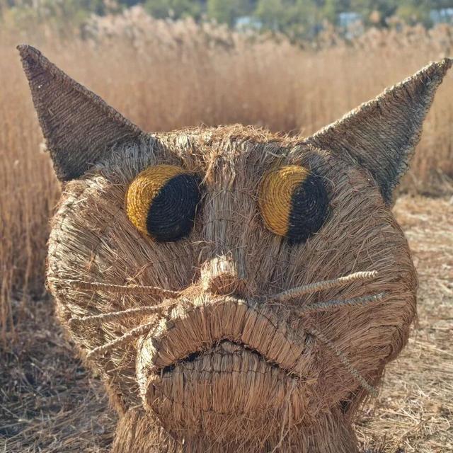 大风刮出绝美晴天！北京园博园湿地稻草人展持续营业中，蓝天湿地拍爆朋友圈