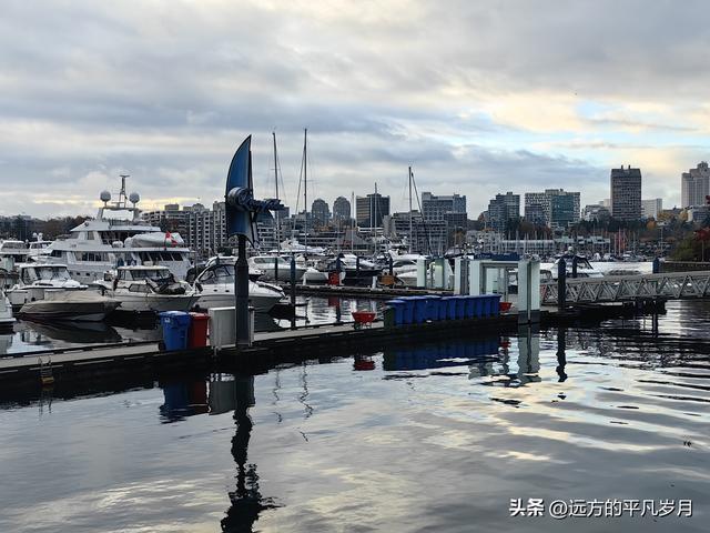 温哥华游记（六）