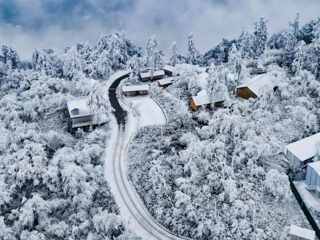 Wowww！雅安的星空，硬控我一整个冬天！