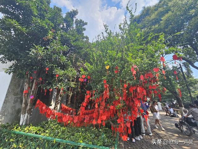 苏州平江路宁静与喧嚣，宁静的是悠久的历史，喧嚣的是攒动的人群