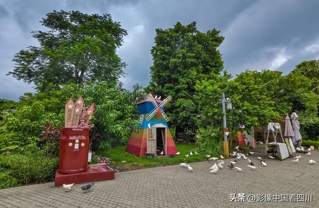 广东鹤山：古劳水乡引客来
