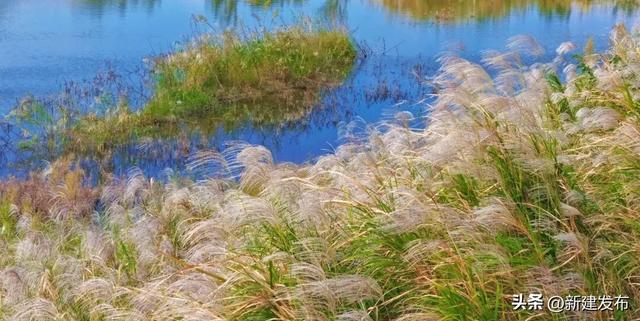 鄱阳湖畔的秋日舞会