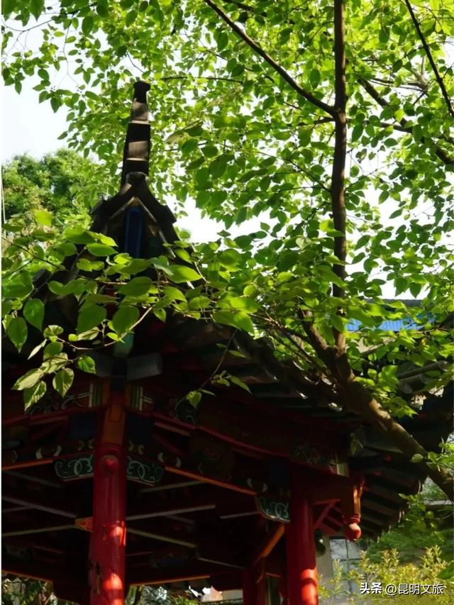 周末踏古计划:来昆明这座百年古桥,当一回画中人