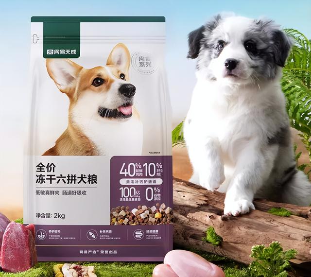 国产十大狗粮排行榜揭晓，谁是王者？