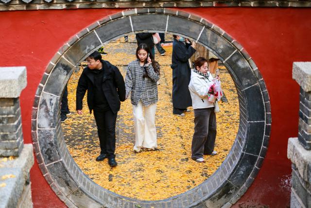 泰山普照寺，那最后的一树金黄