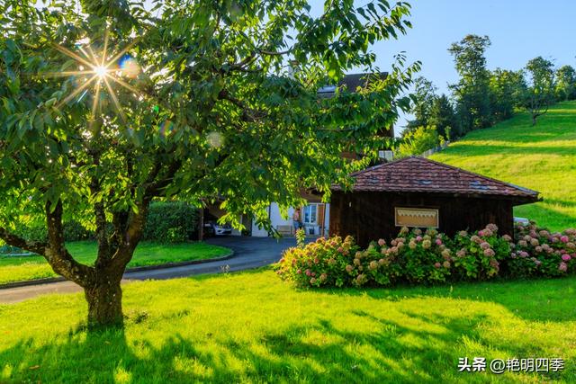 欧游杂记（5）‖ 齿轮火车几上几下瑞吉山，缆车凌空飞跃韦吉斯