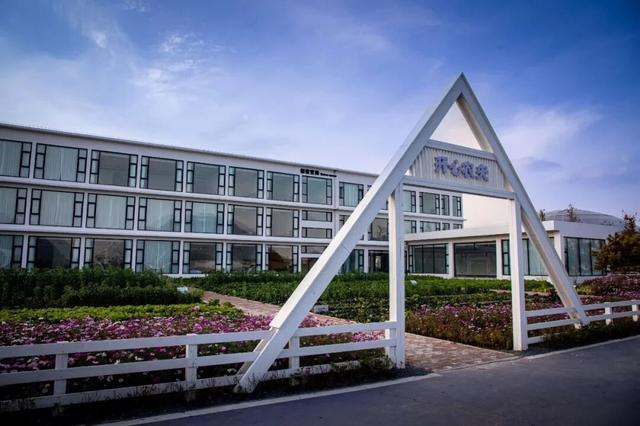 临沂人游临沂｜赶郯城大集吃刚出锅的烧鸡，初冬游古郯烟火