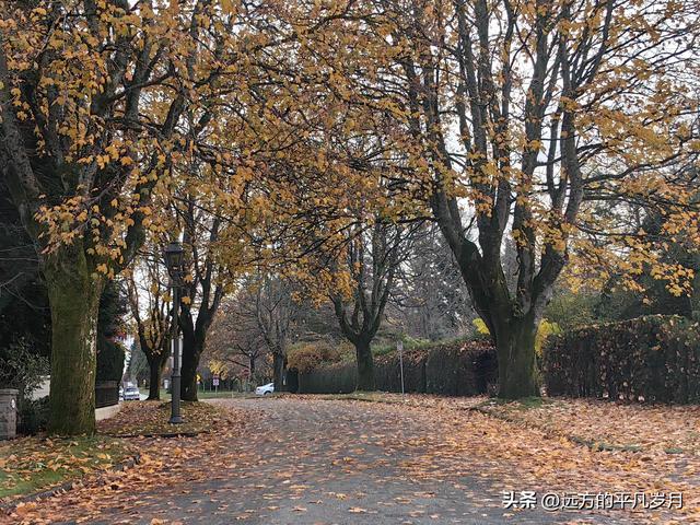 温哥华游记（五）