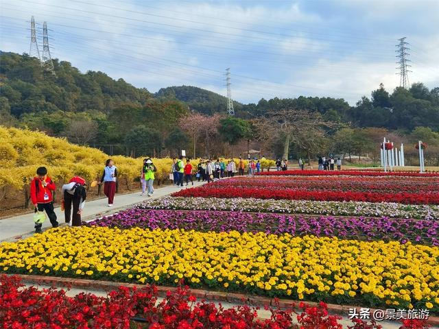 国庆假期去佛山卡玛缤纷花世界，共赴一场花开时节又逢君的约会