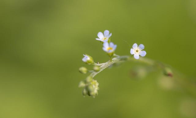 为什么你身边围绕的都是小人恶人，原因：你活得太正直！太正能量