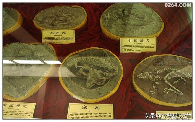 山东行游影记（36）—平邑天宇自然博物馆（十一）