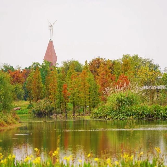 冬崃｜在泉水湖湿地公园，收藏整个冬天的浪漫与生机~