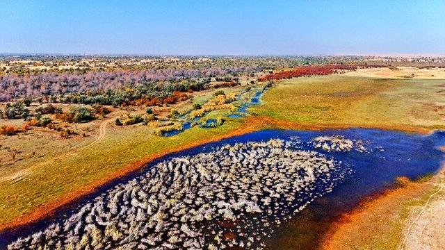 内蒙古杭锦旗：湿地秋景惹人醉