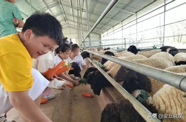 国庆自驾 “齐鲁天路”，上新活动全攻略出炉！