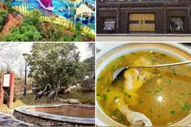 高铁票就是打折券！坐高铁到湖北多地，能享受指定景区温泉最高半价优惠图片