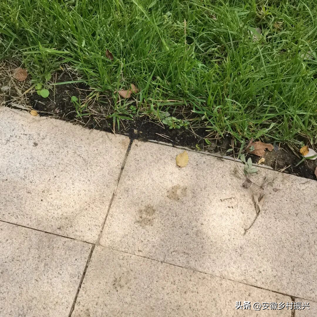 我在这个地球幸福的N个证据