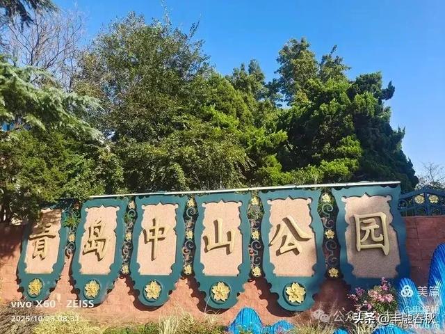 菊绽秋阳里,暗香绕中山|申艳娟