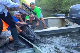 明明是我国一级保护动物，如今却被当街叫卖，价格比牛肉还要低？图片