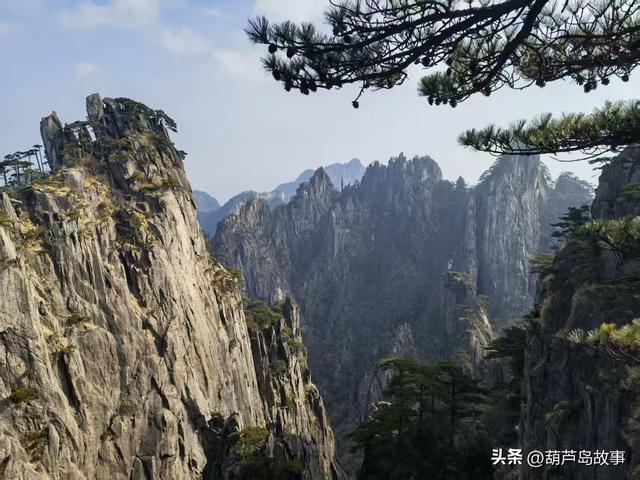 东北百家旅行商走进安徽 共赏江淮文旅暖冬新魅力！