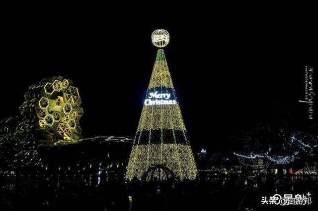 17米巨型圣诞树海景第一排美拍！灯光秀时间13大演出卡司看