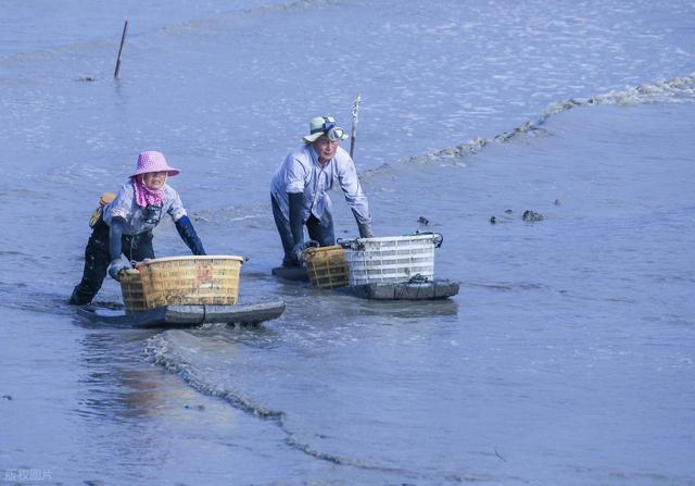 从湖南去了一趟霞浦，实话实说，回来才发现朋友圈都是骗人的？