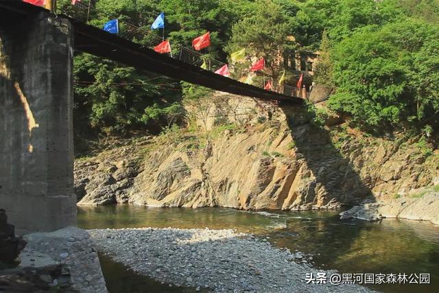 就这个周末，别等“下次”了！带上好心情，去黑河，赴一场与自然的约会