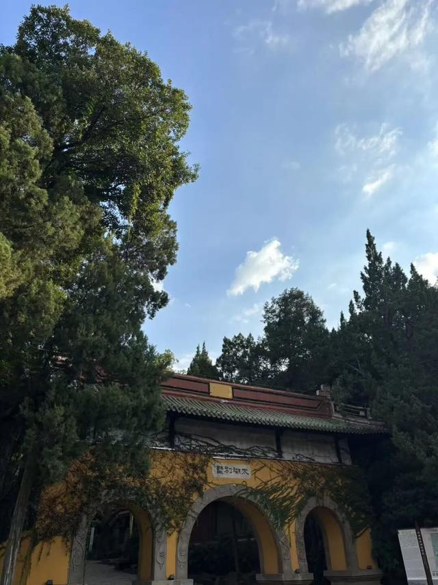 2天打卡无锡5个景点！狂拍500张照片，这才是真江南