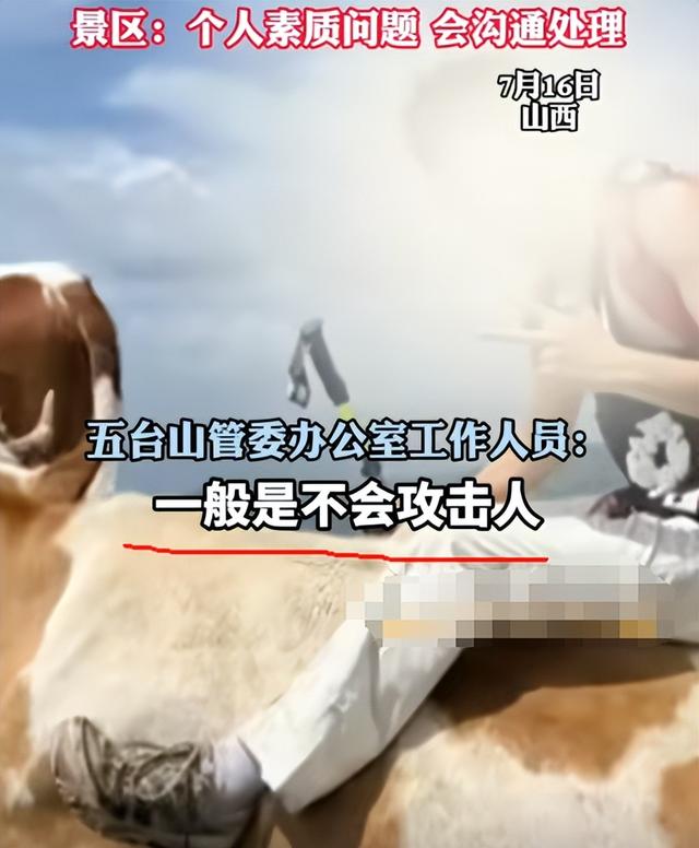真相大白！男子遭牛群踩踏，不是因为挑逗，知情人透露 目标不是人