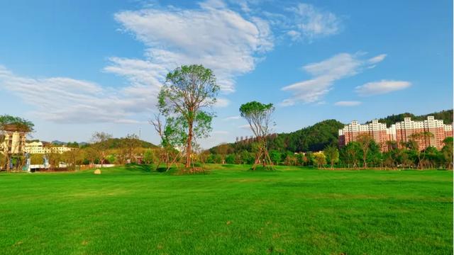 洛阳一景区宣布：免费开放！