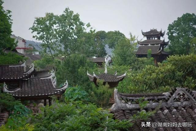 40℃高温？带娃躲进这两处深山秘境，把25℃的清凉和野趣全打包！