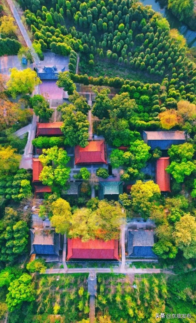 安排！一“骑”出发→