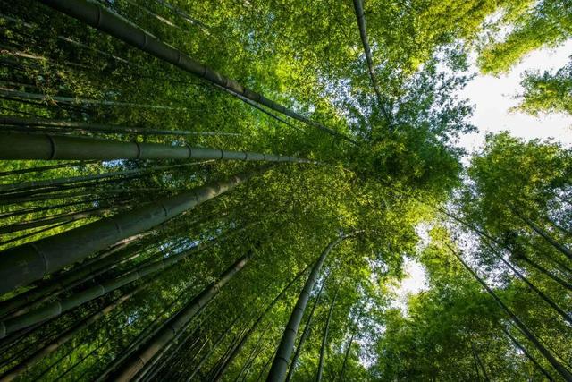 十一跨省游？11个小众宝藏景点带你避开人流