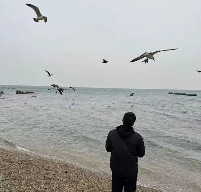 银沙滩丨张红达