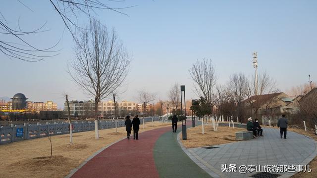 泰安：城东有一个公园，一场40分钟的闲逛，竟找到让人动容的瞬间