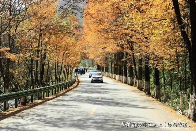 超出片！快来这里捕捉汉中秋色！
