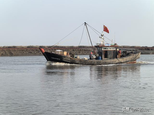 2025辽宁赏秋之旅日记(6)——到辽河口中国最北海岸线看日出 观鸟