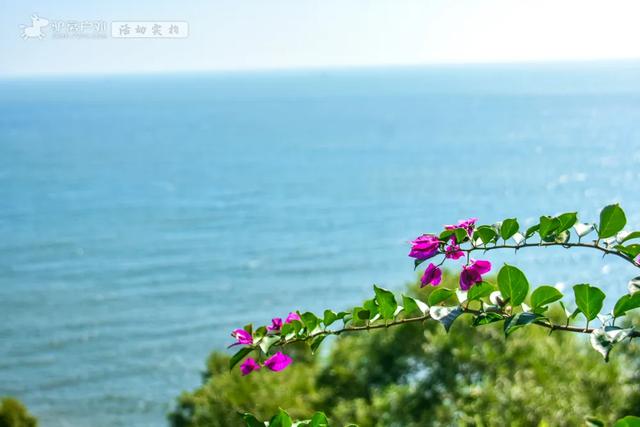 藏在北纬22°的“东方夏威夷”，碧海金沙，景美人少的度假天堂！