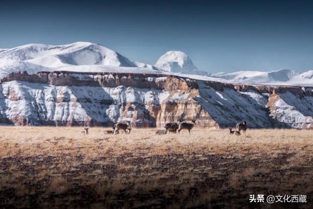 世界级风景，全部0元！西藏阿里这份“免费景点”清单请收好！