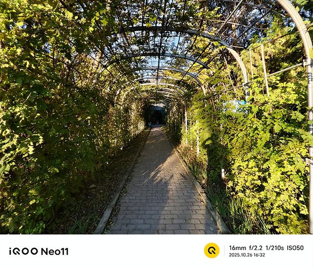 中端定价旗舰体验 双芯合璧性能越级 iQOO Neo11评测