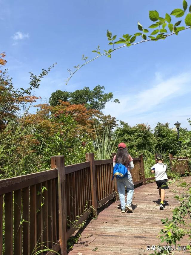 10条初秋徒步线路，去草甸、果园、森林里找秋天