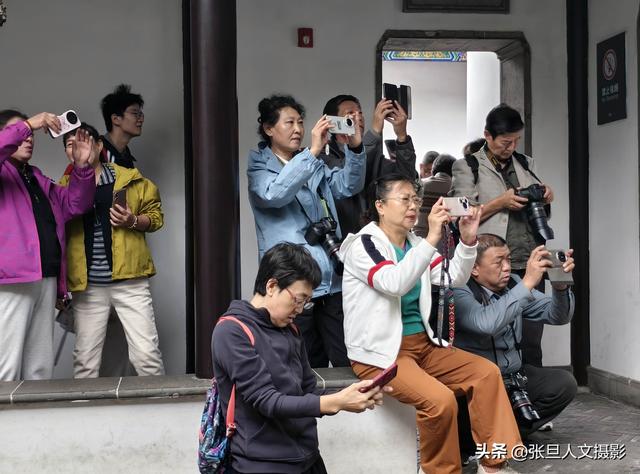 跟着张旦行摄中国-走进南京 这座国家历史文化名城 感受古都的魅力